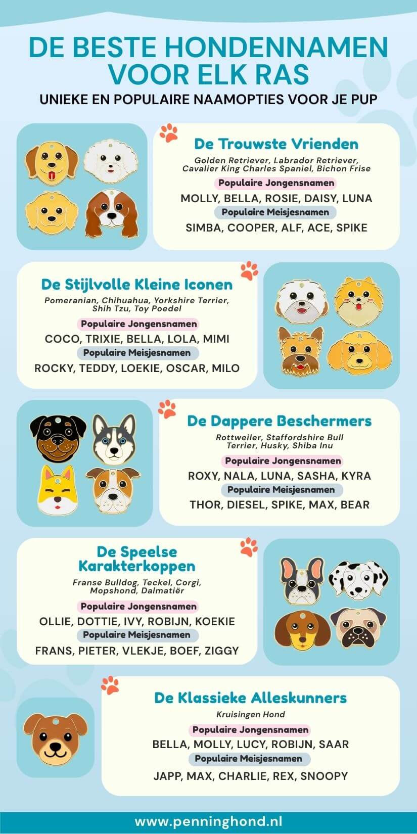 Beste hondennamen per ras, ideaal voor gepersonaliseerde hondenpenningen, gegraveerde hondenpenningen en honden ID tags